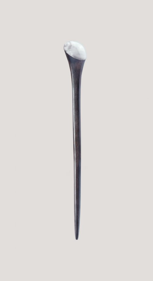 palo para el pelo de madera y una concha caracol blanca